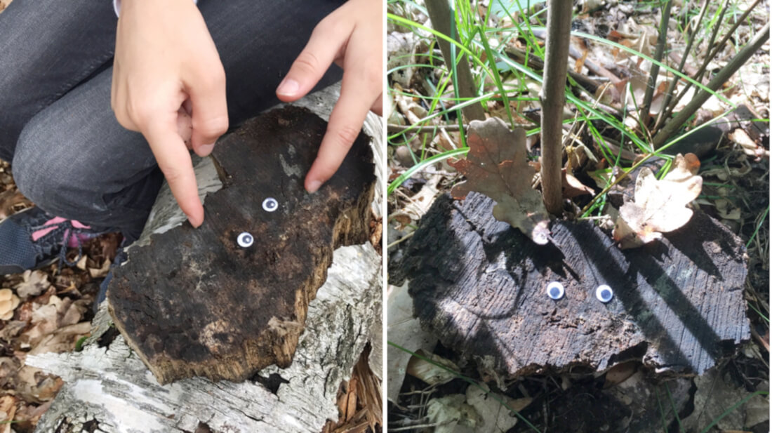 Niedliche Waldbewohner aus Baumrinde, Blättern und Wackelaugen basteln - eine schöne Aufgabe für eine Wald-Schatzsuche