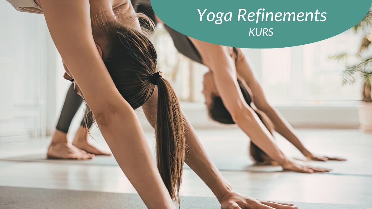Yoga Refinements – Grundlagen der Ausrichtung (7.4.-12.5.)